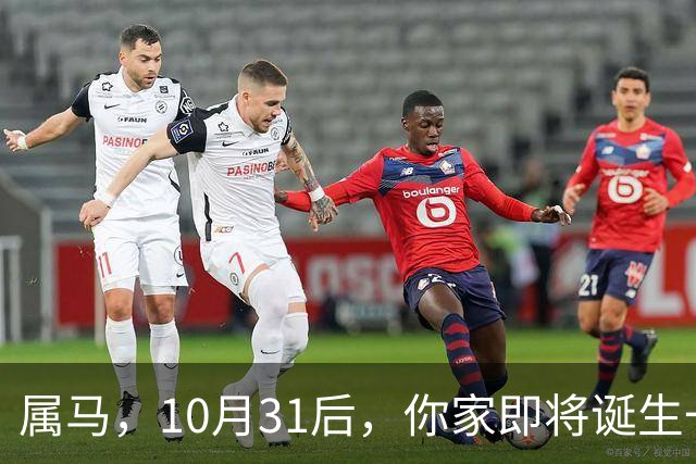 属马，10月31后，你家即将诞生一位“举世瞩目的大人物”，请珍惜