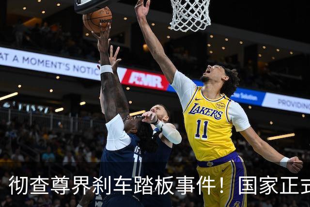 彻查尊界刹车踏板事件！国家正式下场