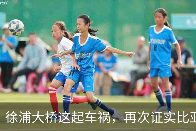 徐浦大桥这起车祸，再次证实比亚迪车是真硬