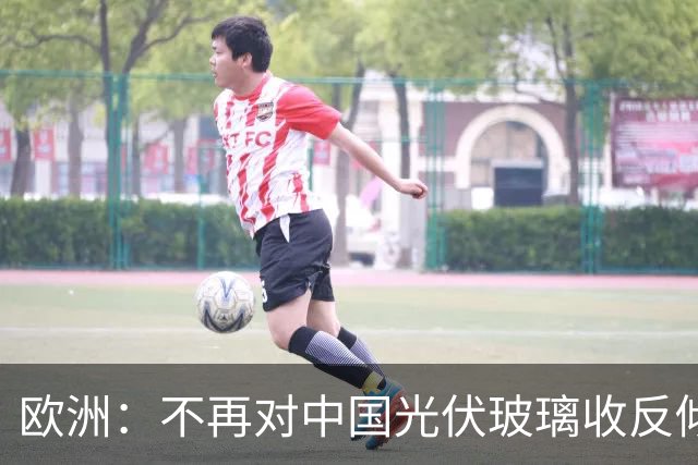 欧洲：不再对中国光伏玻璃收反倾销税！因为, 欧洲同类企业死绝了