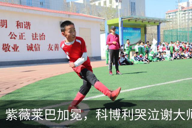 紫薇莱巴加冕，科博利哭泣谢大师惨遭爆冷，孙心然小身板引担忧