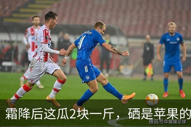 霜降后这瓜2块一斤，硒是苹果的14.5倍，几乎不打农药，很多人嫌它“长相怪”不懂吃