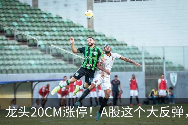 龙头20CM涨停！A股这个大反弹，太提气了！