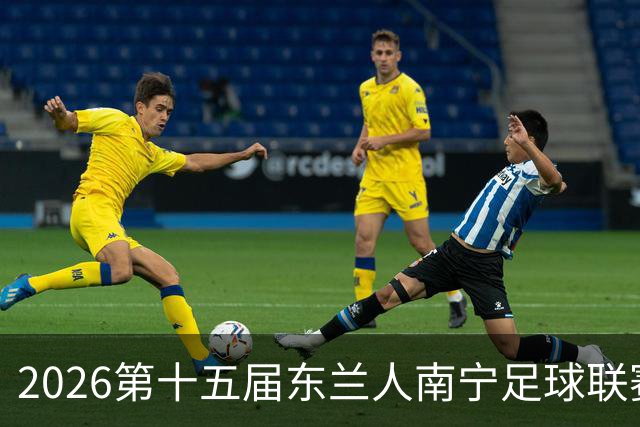 2026第十五届东兰人南宁足球联赛开赛