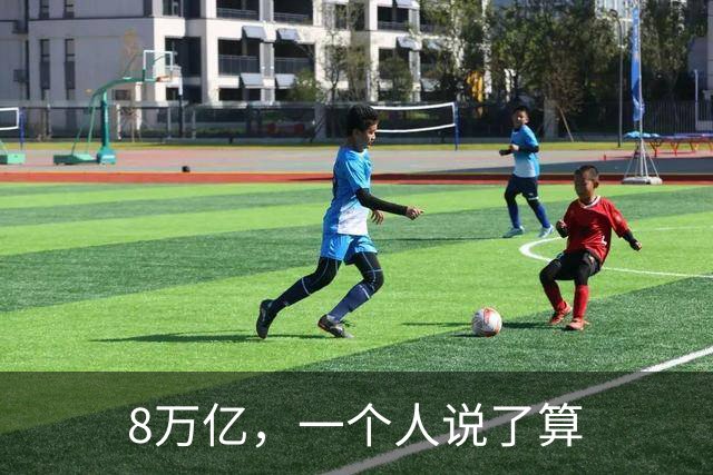 8万亿，一个人说了算
