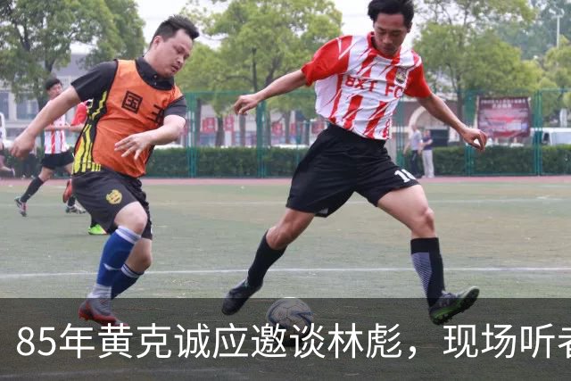 85年黄克诚应邀谈林彪，现场听者感慨：敢这么说的只有他！