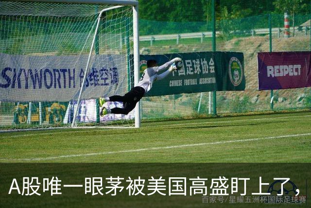 A股唯一眼茅被美国高盛盯上了，业绩暴增12962%，周五量能突然放大
